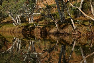 Outback Australia Photos